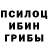 Псилоцибиновые грибы прущие грибы cofy cofy