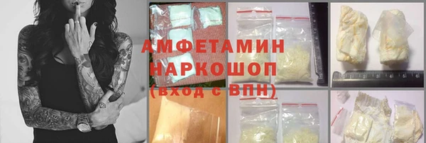 СК Алексин