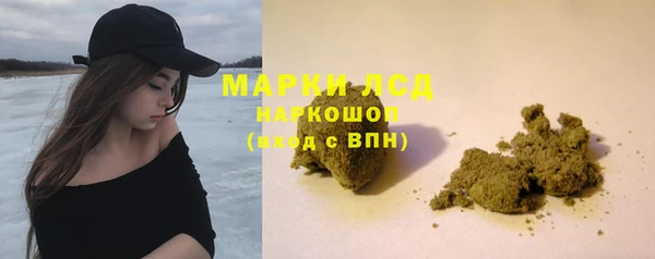 СК Алексин