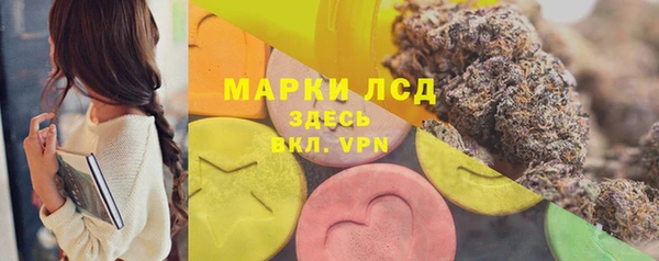 СК Алексин